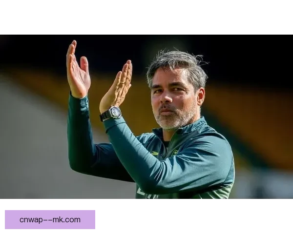 瓦格纳执教诺维奇未能带队冲超引发反思