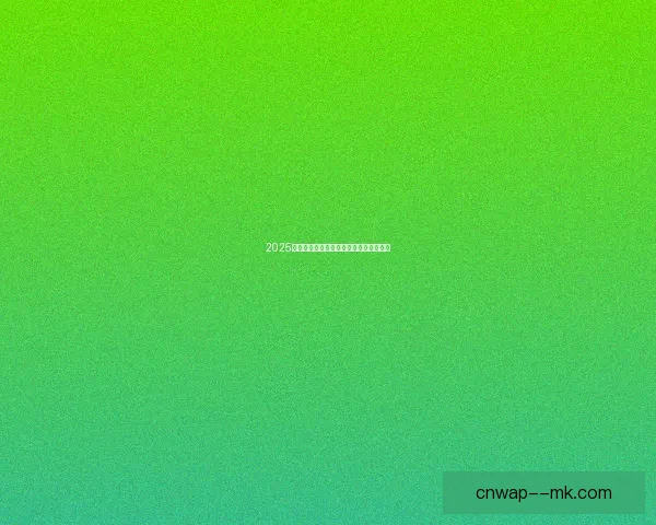 2025夏季转会风云里尔完成意甲新星前锋引进